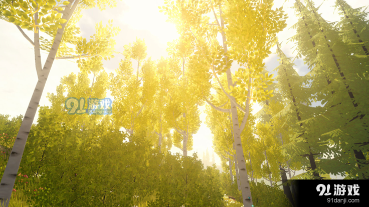 wilderless荒野v1.7.13截图5