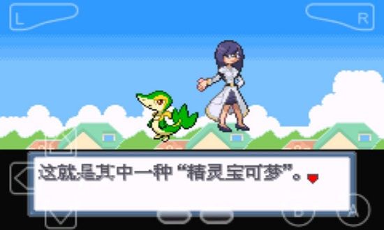 口袋妖怪白金光2汉化版v2.4截图3