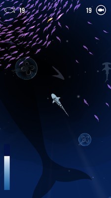 鱼群猎食者v1.13截图3