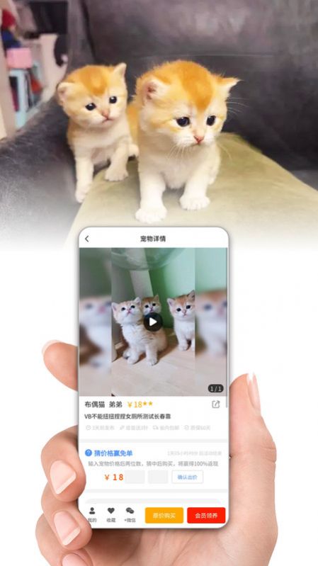 集咪舍宠物会员商城官网版v1.0.6截图1