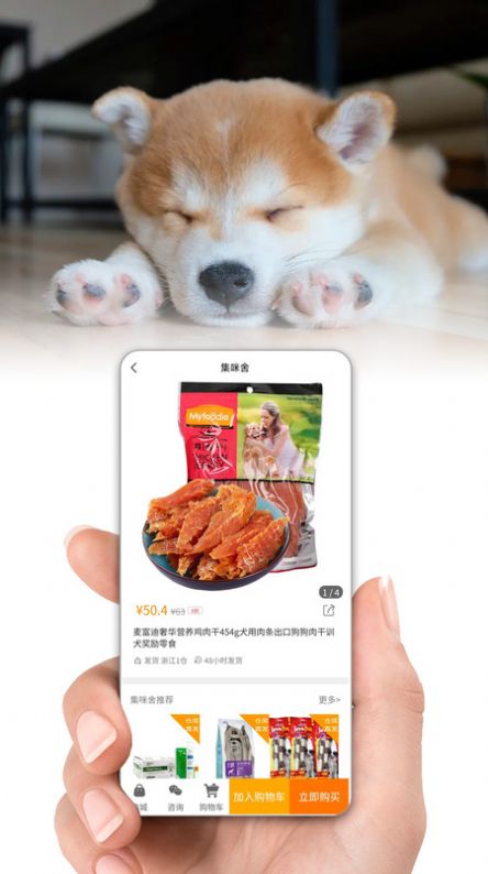 集咪舍宠物会员商城官网版v1.0.6截图2