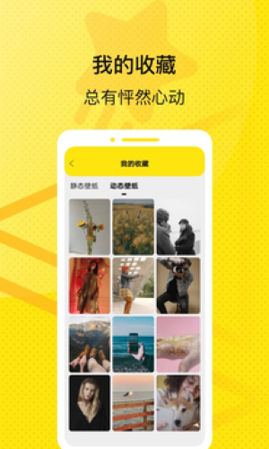 星星v2.13截图1