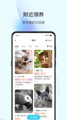 星玉宠v1.1.05截图3
