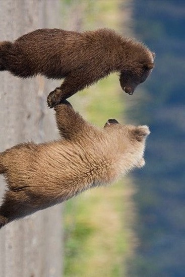 快手搞笑v1.9截图1