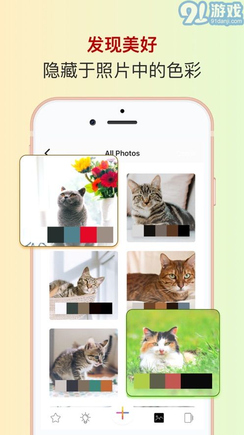 色采电脑网页版v2.5.40截图1