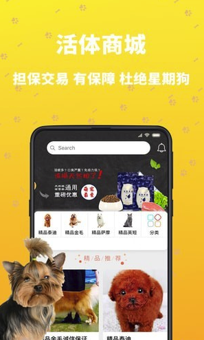吉宠巴士(吉宠巴士宠物服务)V1.0.9 安卓版V1.0.6截图2