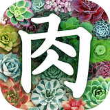 多肉植物app安卓版v2.5.14