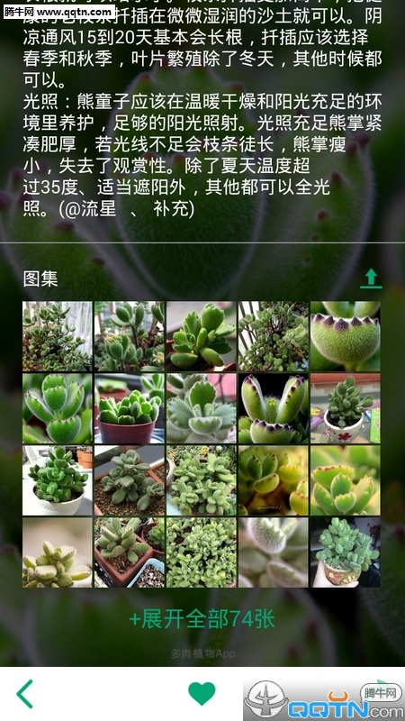 多肉植物app安卓版v2.5.14截图2