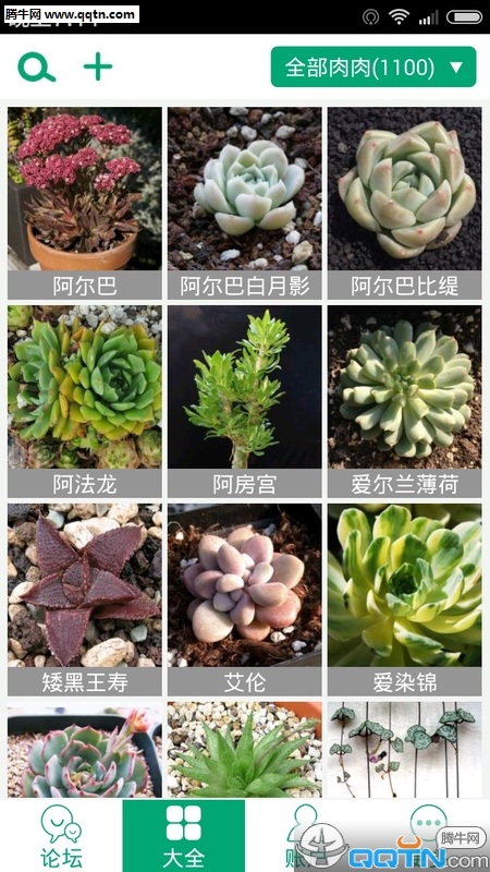 多肉植物app安卓版v2.5.14截图3