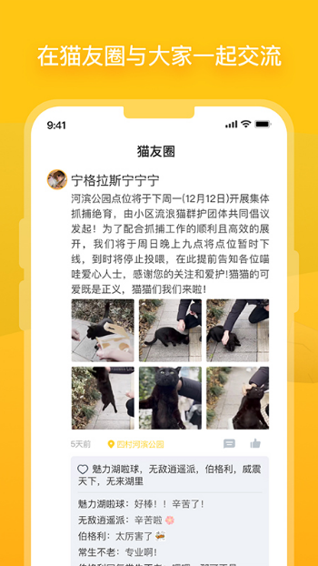 哈啰街猫v1.0.11.0.4截图2