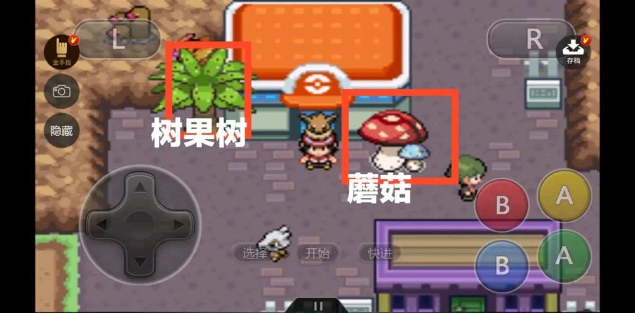 口袋妖怪绝对魂银v1.5截图2