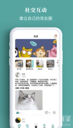 宠+安卓版vV2.0.7截图3