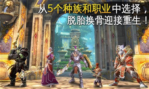 混沌与秩序安卓版v1.9.10截图2
