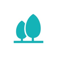多朵园林v1.9