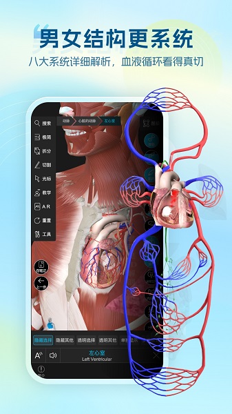 维萨里3D解剖全新版本v6.9.5截图1