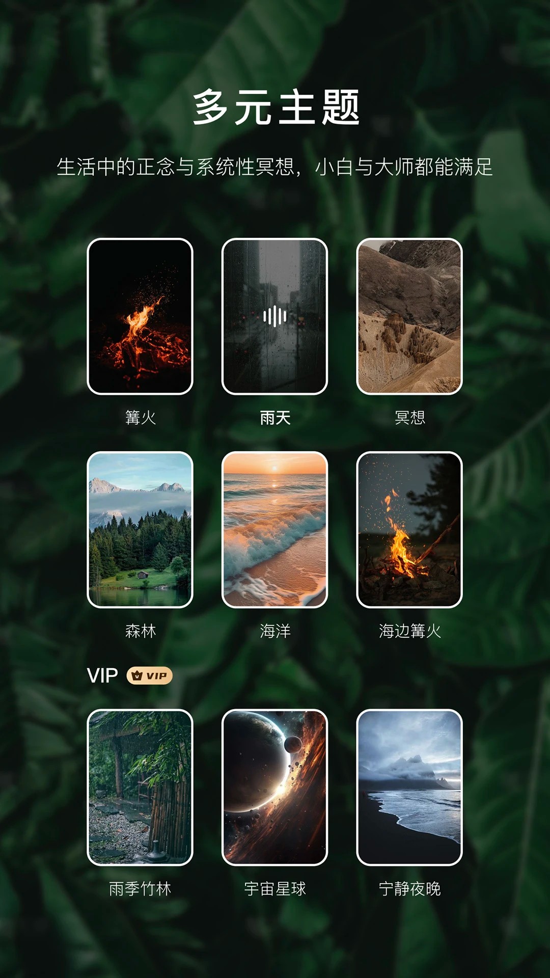 流静老版本v3.1.17截图1