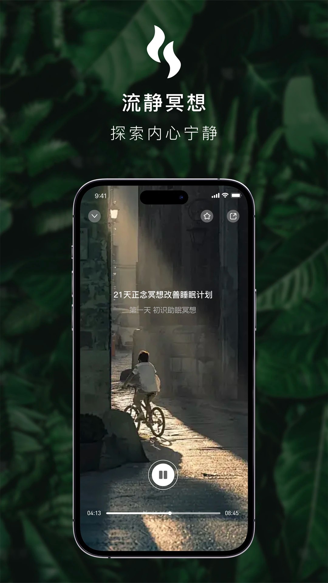 流静老版本v3.1.17截图2