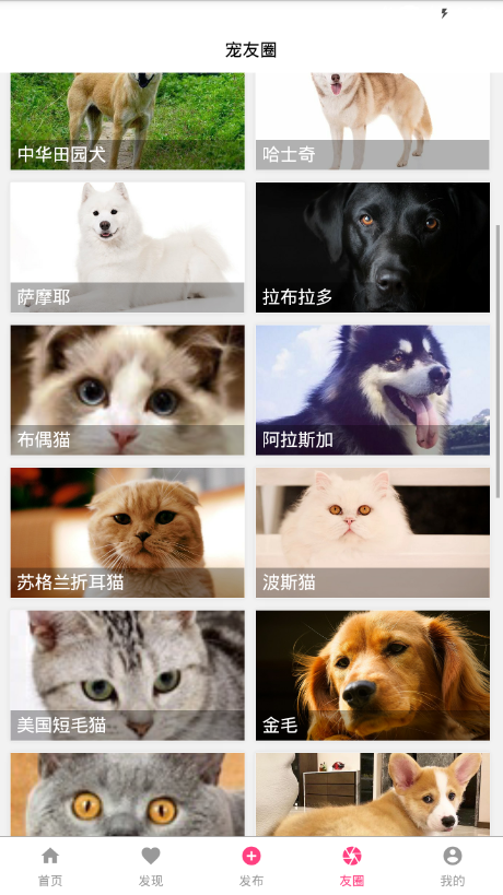 宠友帮v1.9.5截图1