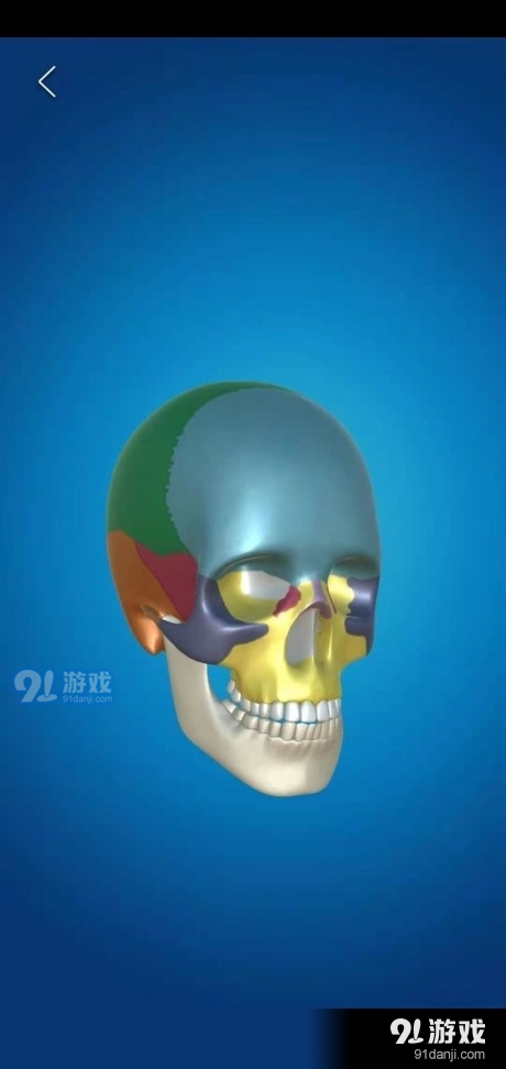 aR人体解剖学v0.10截图4