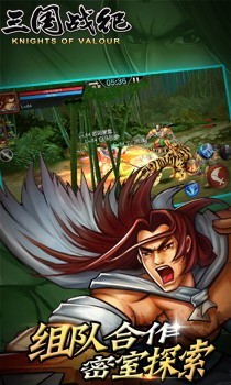 三国战纪风云再起v2.4.4截图4