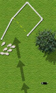 牧羊犬v2.4.9截图2