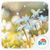 花的姿态v1.5.10