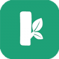 树桩网v1.11