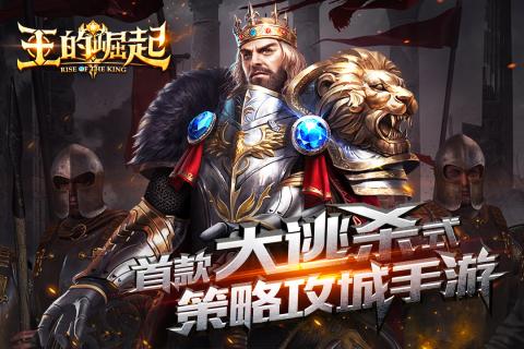 王的崛起v1.8截图3