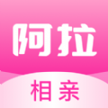 阿拉相亲v2.9