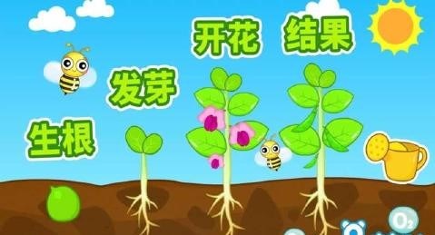 奇妙的种子v8.11.8.16截图1