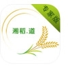 湘稻道专家版v2.8