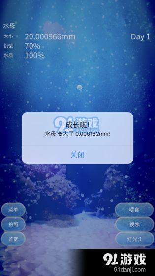 养育水母的治愈游戏v1.3.5截图4