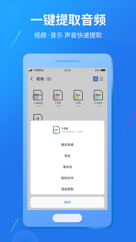 格式转换大师v1.3.6截图1