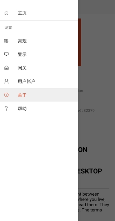 微软手机远程桌面RDPv10.1.16.1245截图2