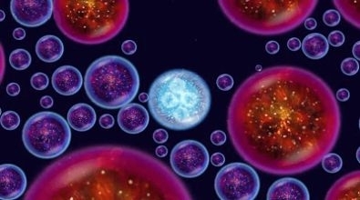 吞噬进化生存v1.1.4截图3