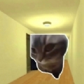 追逐猫猫的迷宫汉化中文版v1.5