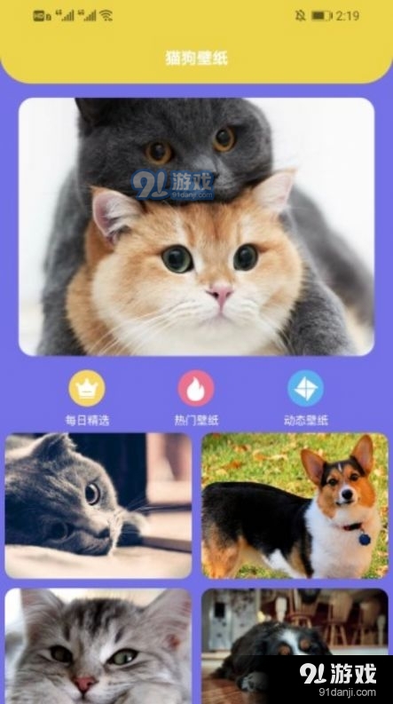 遇见你的猫狗v1.8截图4
