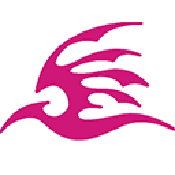 飞极速官网版v1.0.4