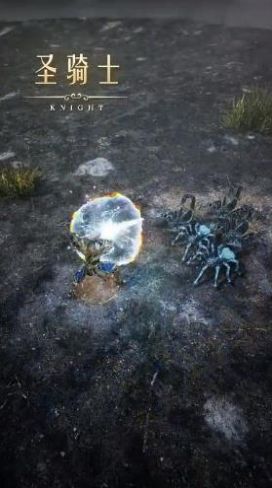 天空战曲游戏v1.10.28截图2