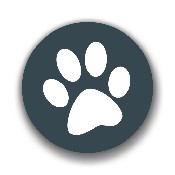 兽音译者嗷呜翻译v1.9