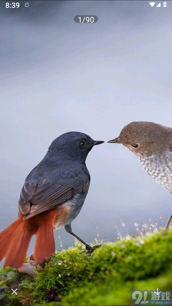 照片拼图呀Prov1.5截图4