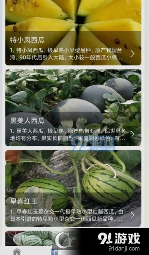 西瓜王国安卓版v1.6截图1