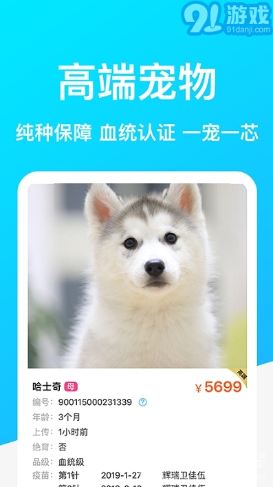 dog breedsv1.9截图2