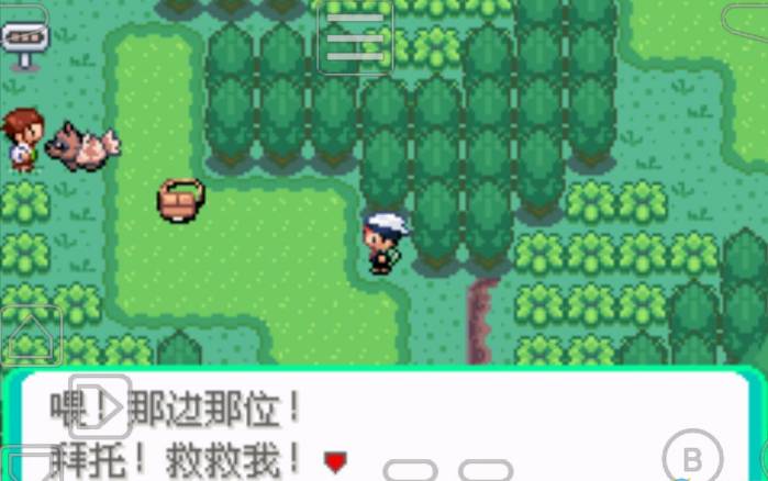 口袋妖怪心魂之羽v1.2.4截图2