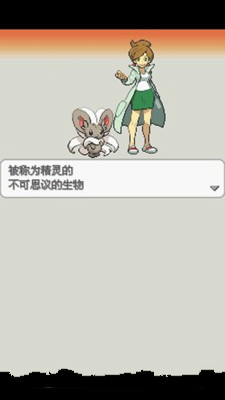 口袋妖怪：白2 649版v2.7截图2