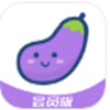 小茄子v1.0.6