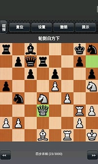 国际象棋v1.10截图1