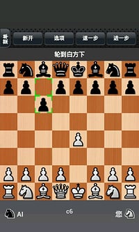 国际象棋v1.10截图4