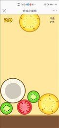 合成小葡萄v1.0.4截图1