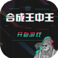 合成王中王v1.0.3